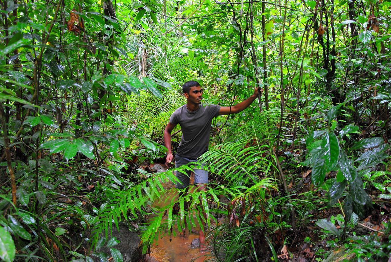 Jungle River Ginigathena Exterior foto