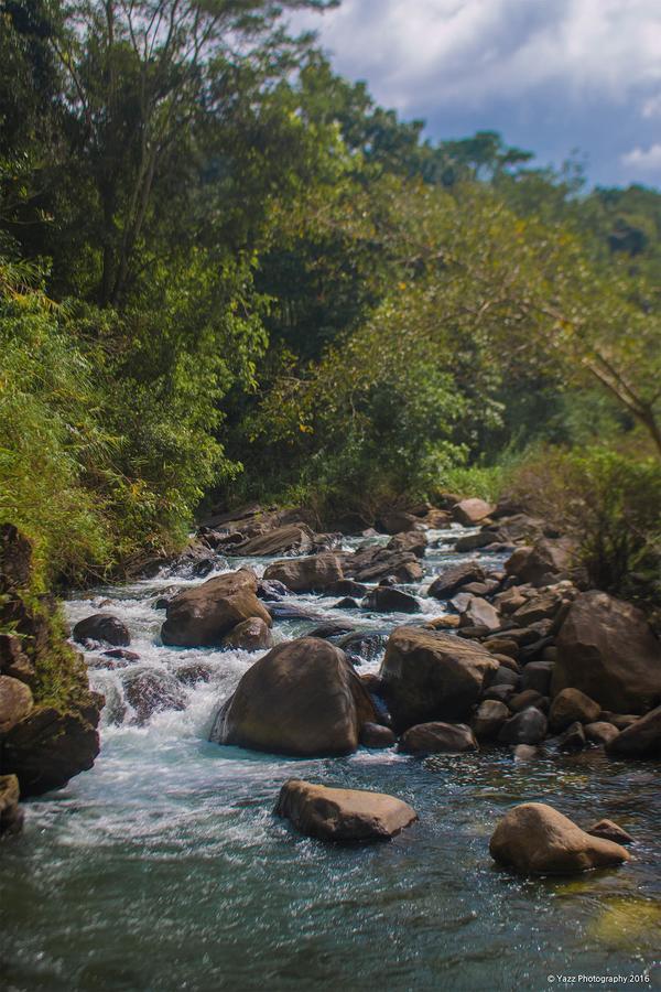 Jungle River Ginigathena Exterior foto