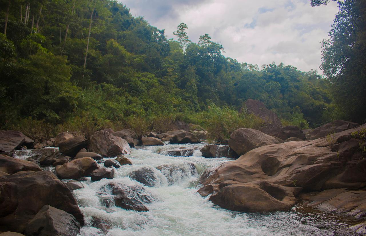 Jungle River Ginigathena Exterior foto