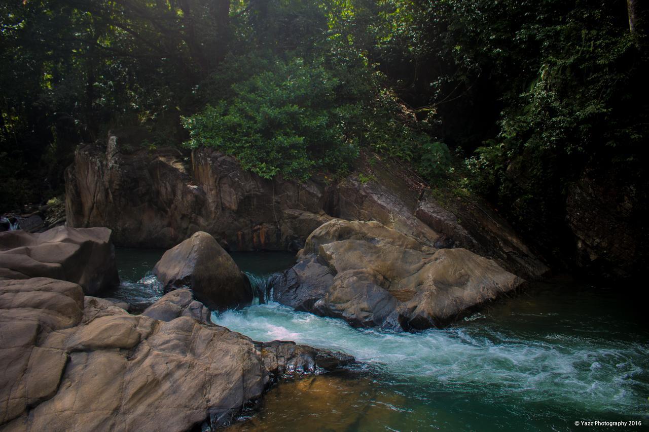 Jungle River Ginigathena Exterior foto