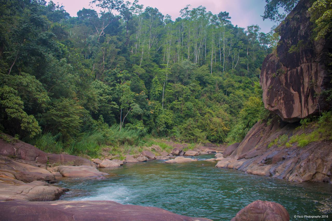 Jungle River Ginigathena Exterior foto