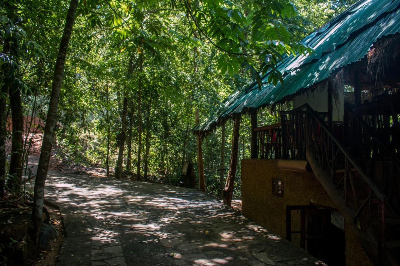 Jungle River Ginigathena Exterior foto